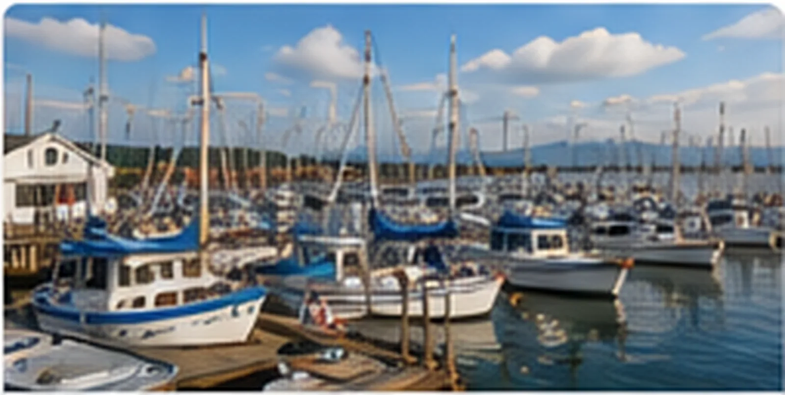 Steveston Village Guide in Richmond British Columbia